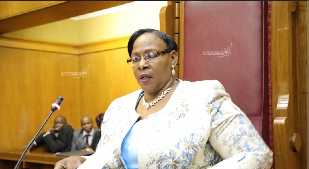 discours-de-cloture-de-la-83eme-session-du-comite-executif-de-l-upa-lu-par-son-excellence-mabel-chinomona-vice-presidente-de-l-union